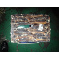 New arrived live squid for sale with good squid price for squid